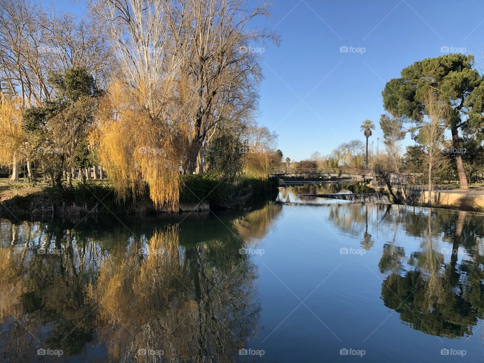 Trees reflect in the waters of the River Nabão in Central Portugal - no edits, no filters