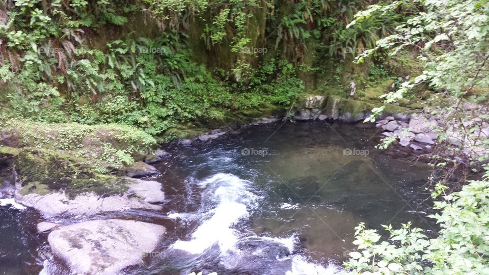 Natural Swimming Hole @ Sweet Creek