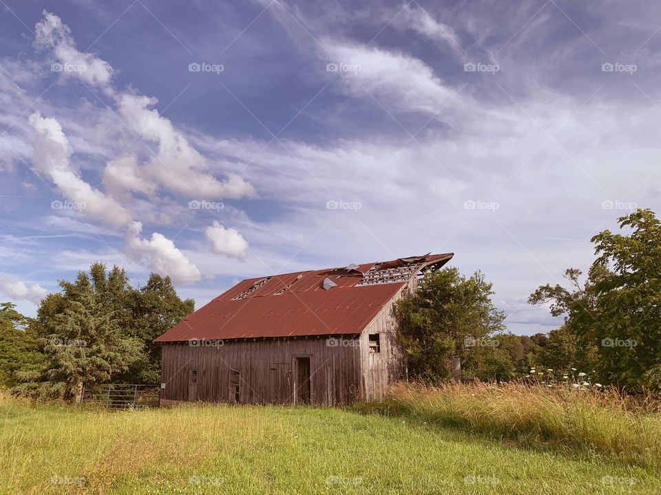 Summer evening on the farm with the old barn