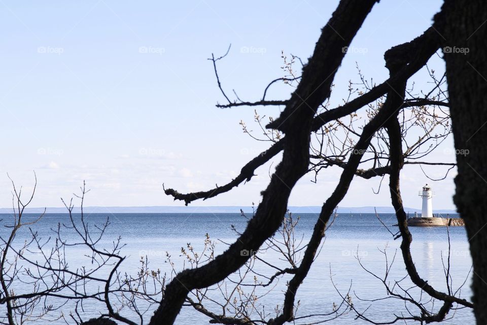 Lighthouse behind the tree