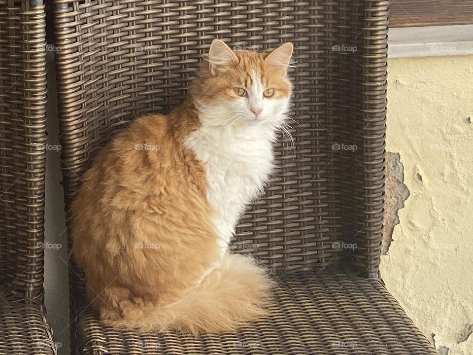 Such nice gesture!😎