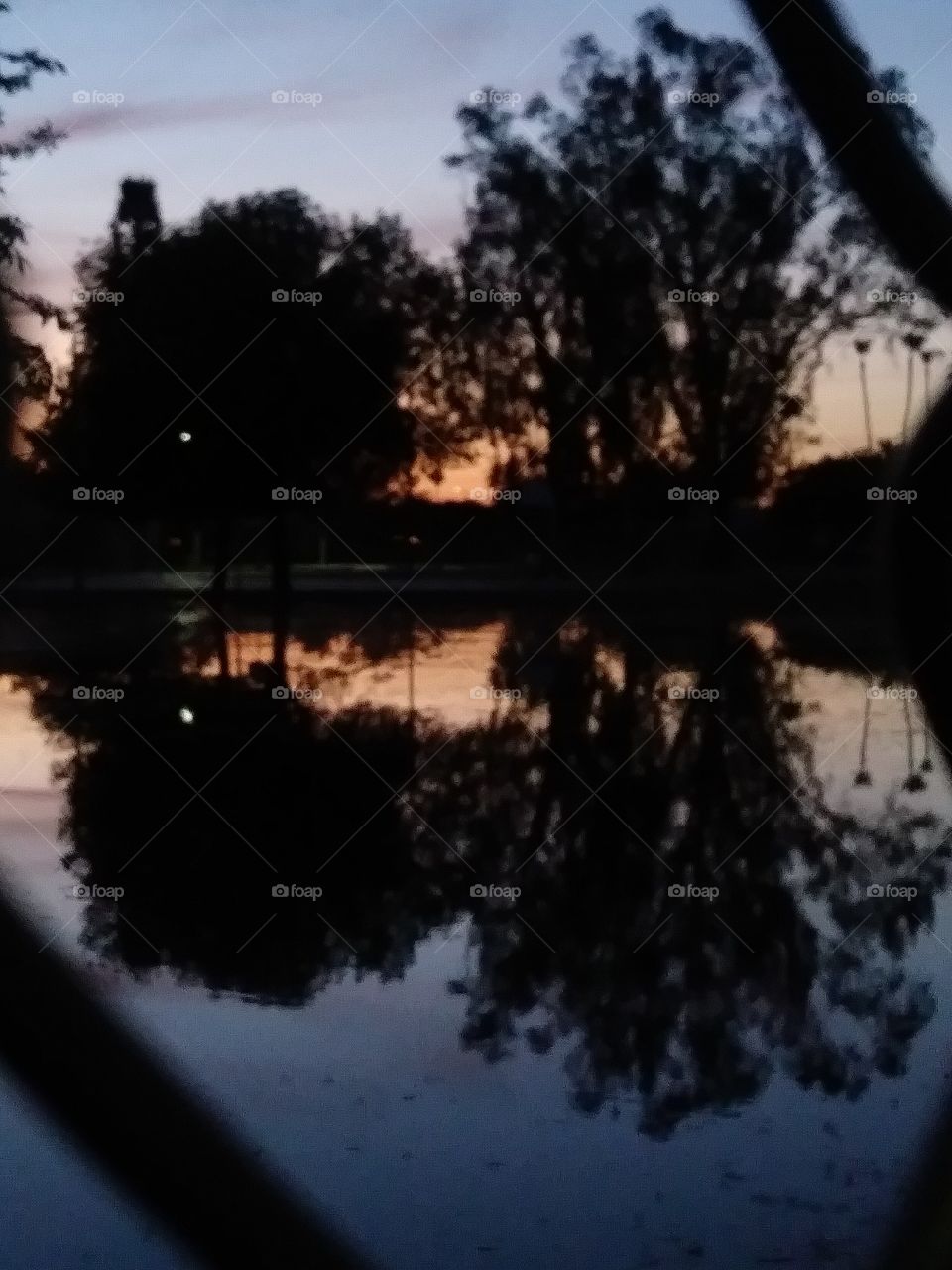 Evening reflections