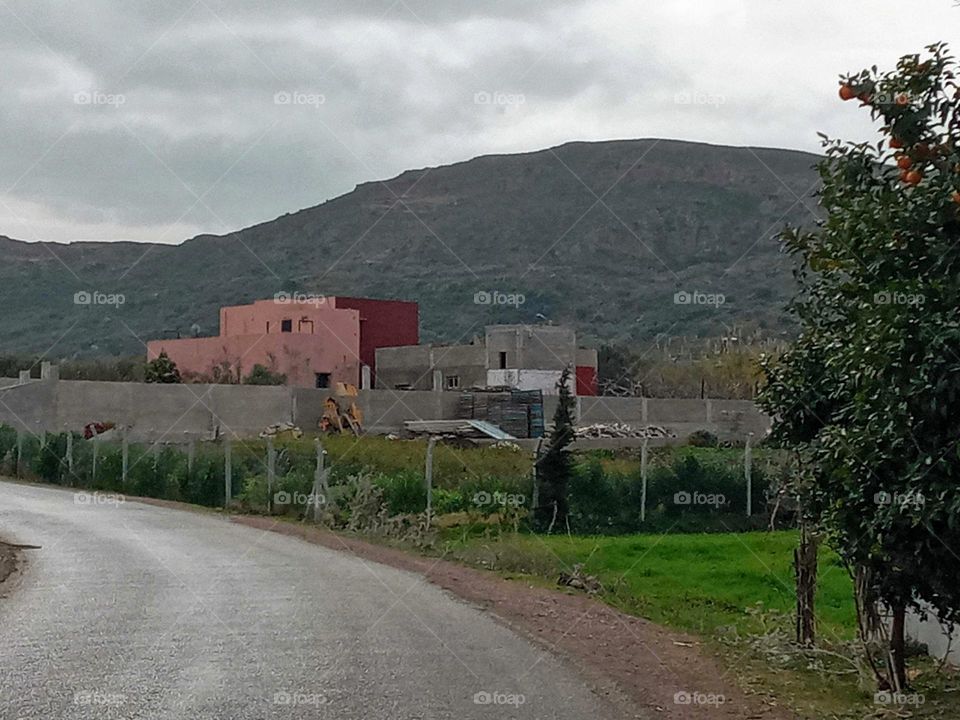 House's between the nature