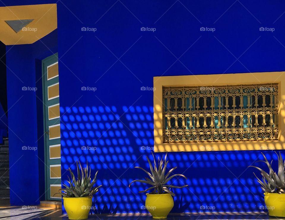 Jardin marjorelle garden 