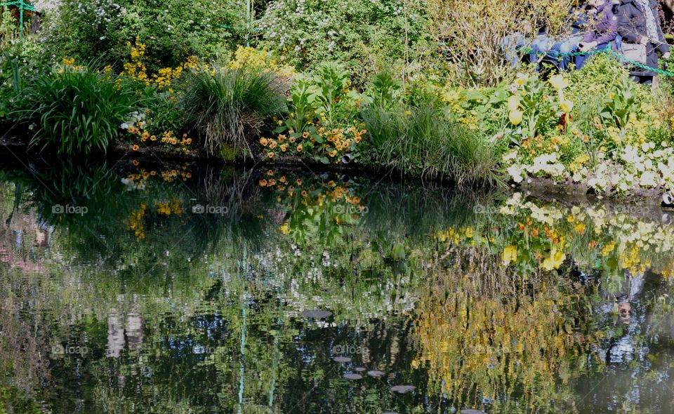 Reflections at Giverny