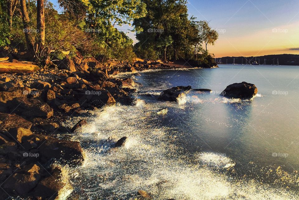 Scenic view of lake