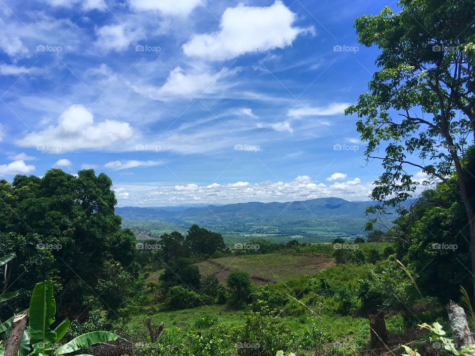 Scenic Mountains