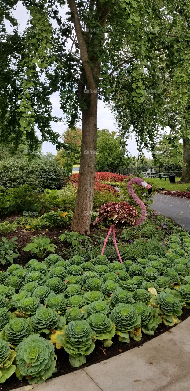 Pink flamingo topiary