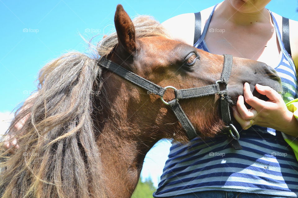 Woman cuddling with her pony