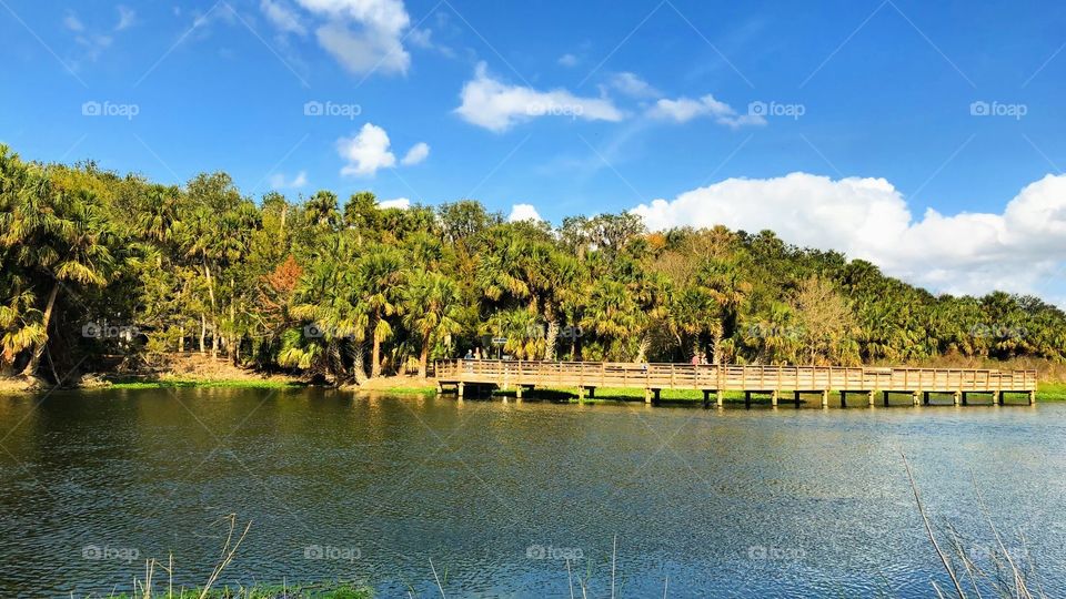 Beautiful Sunny Florida 