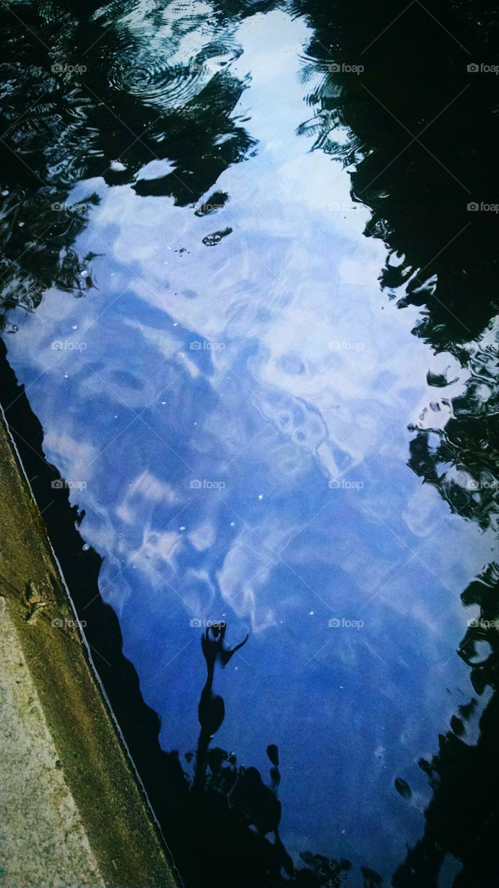 Blue Sky Reflection. this was taken at the Hopatcong State Park, it is a reflection of the sky in the river.