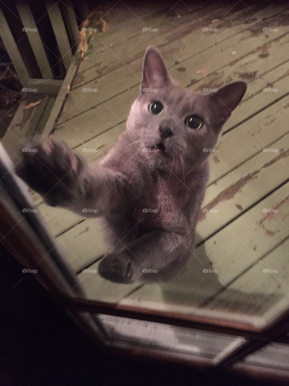 Please open the door 