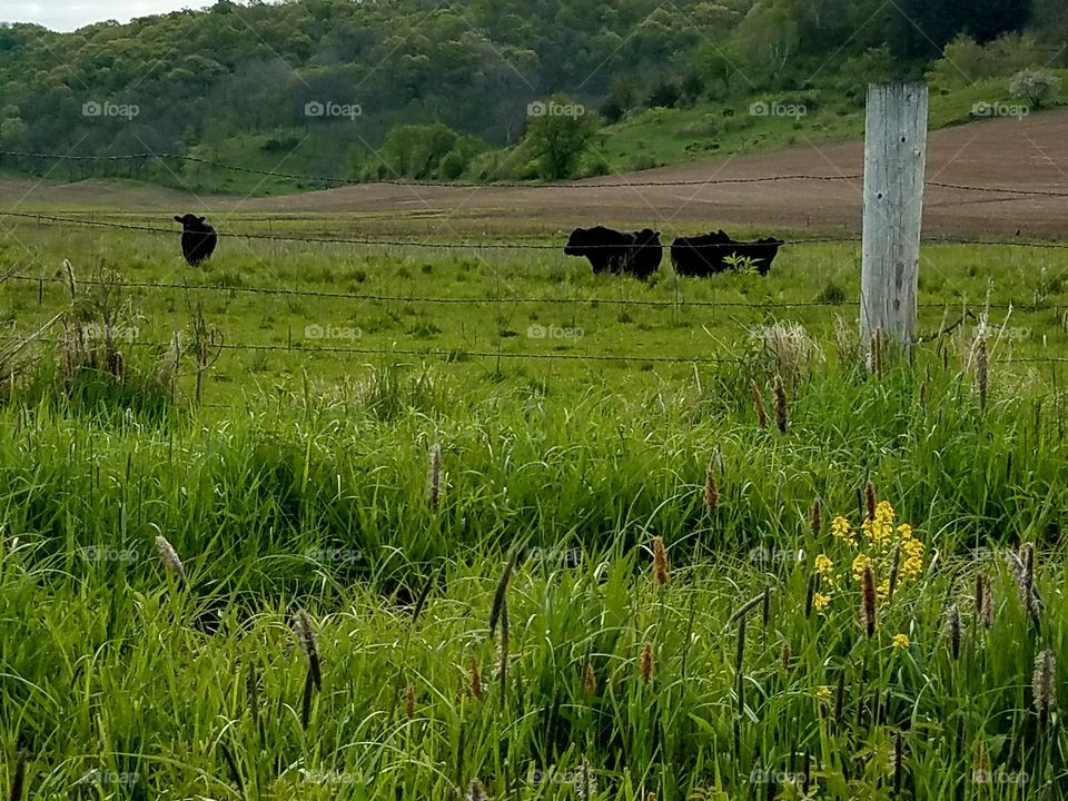 Driving the Back Roads and enjoying everything around us