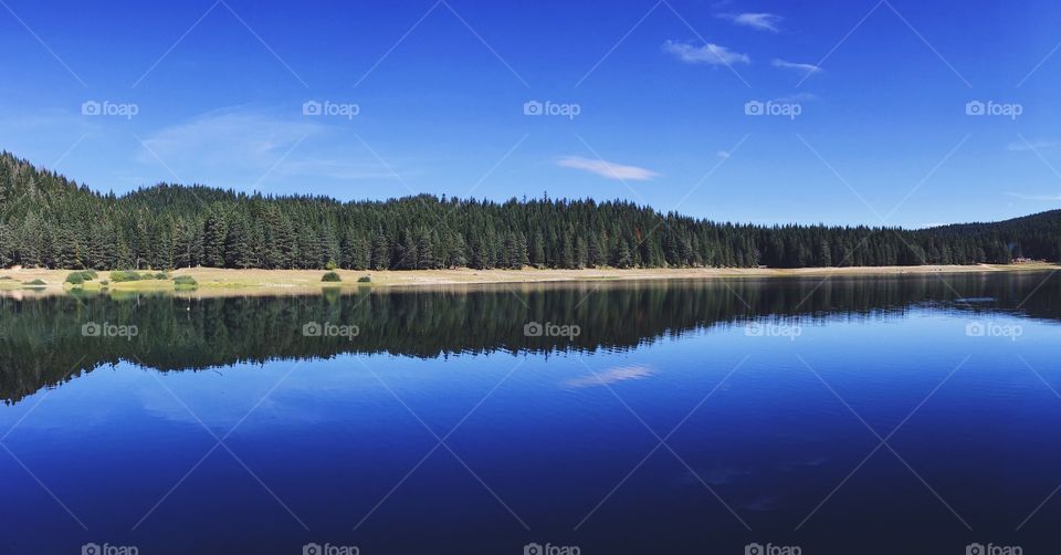 Woods reflecting on the lake