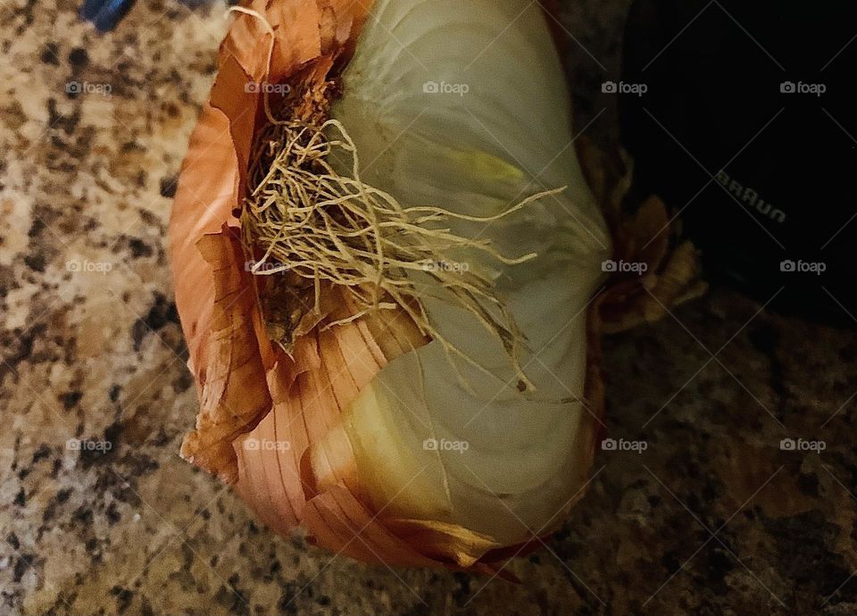 Half an onion 