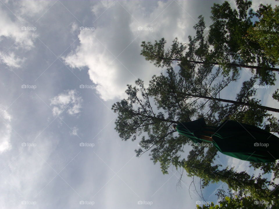 Tree, Landscape, Sky, No Person, Outdoors