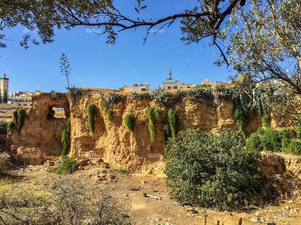 Moroccan landscape