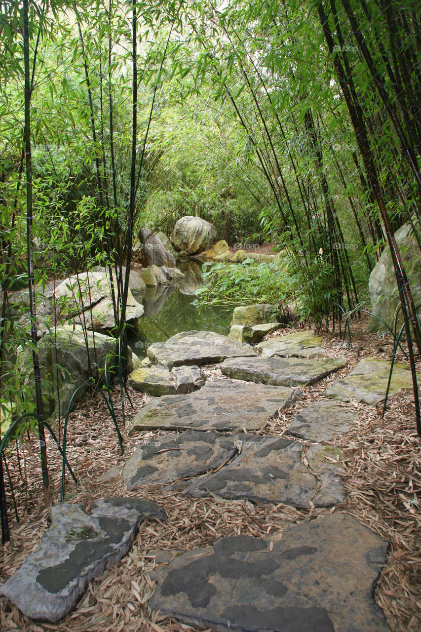 garden chinese pond water by kshapley