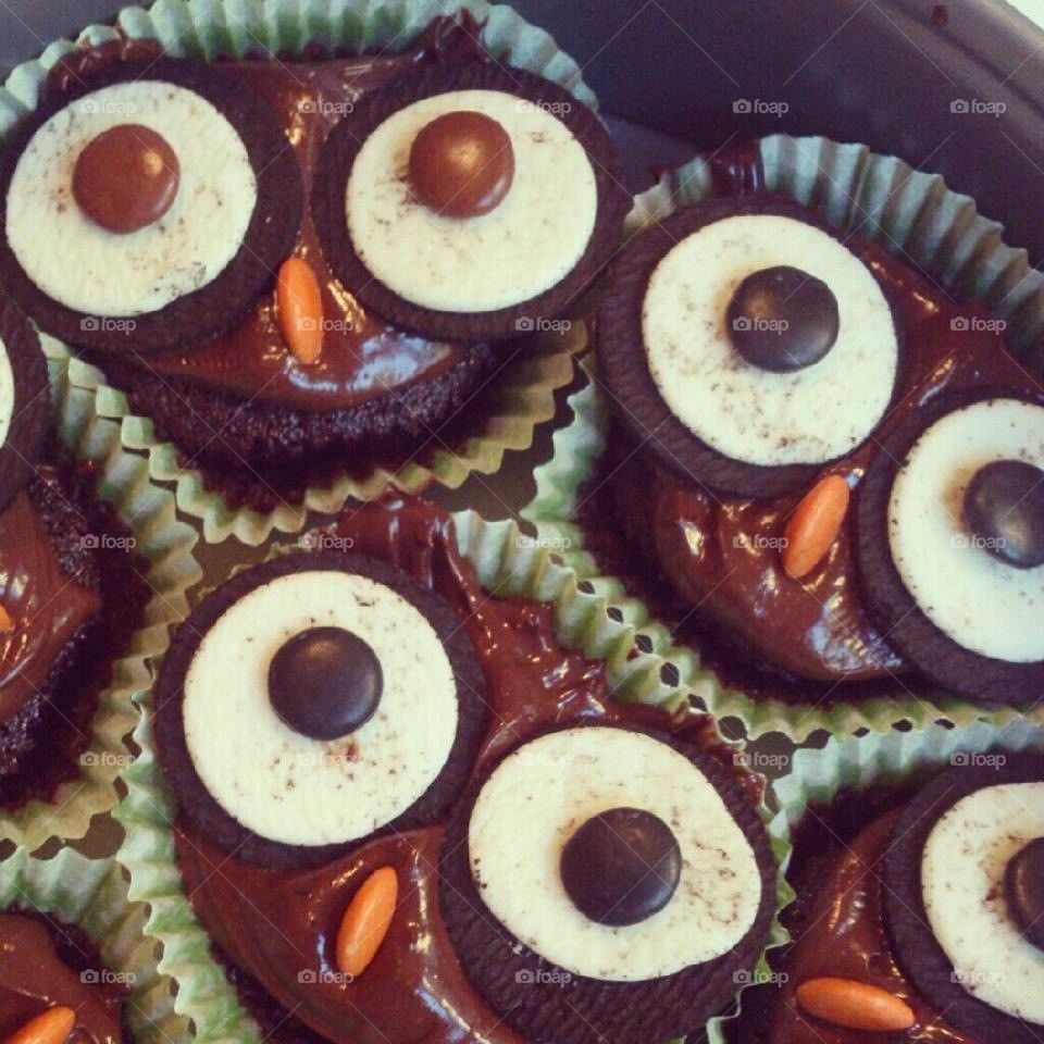 Owl cupcakes