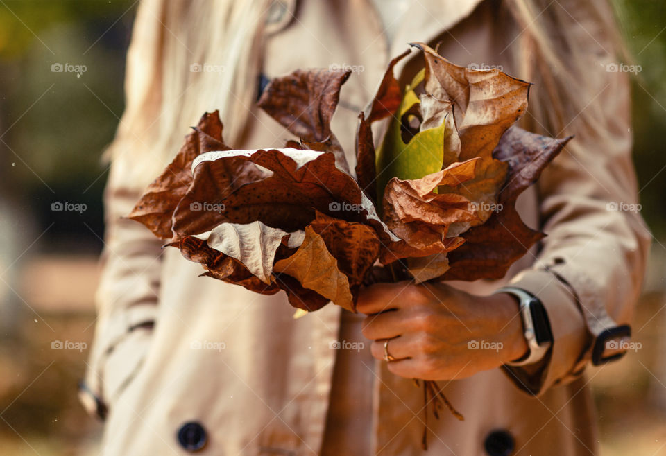 Woman hand holding fallen leaves 