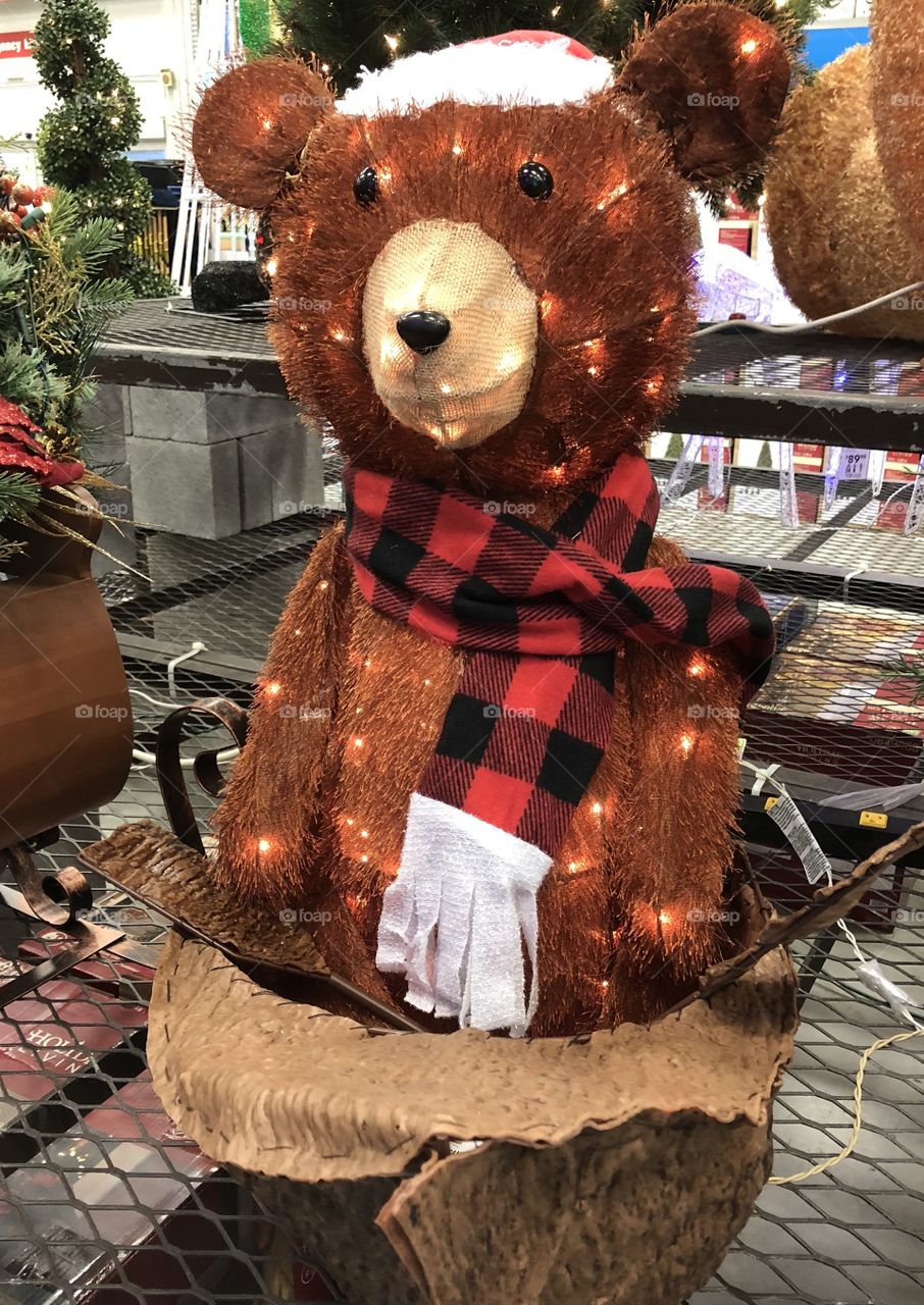 Bear in a canoe 