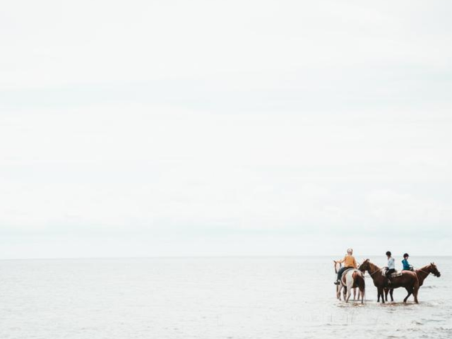 Horses In The Sea