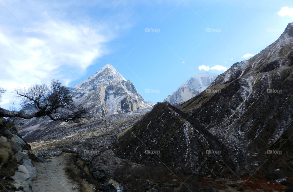 Gangotri National Park