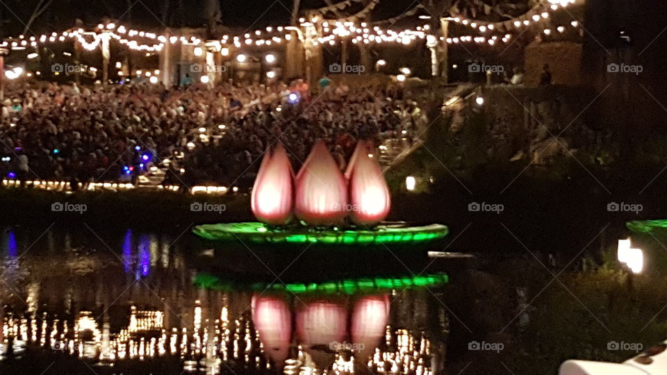 A flower lights up the waters of Discovery River during Rivers of Light at Animal Kingdom at the Walt Disney World Resort in Orlando, Florida.