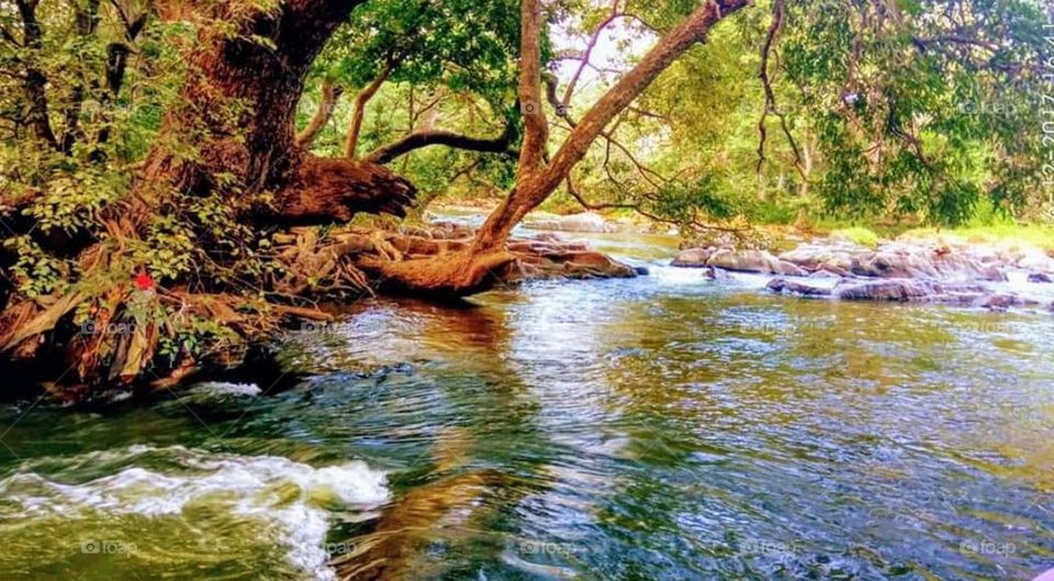 view of a beautiful river with sun rays