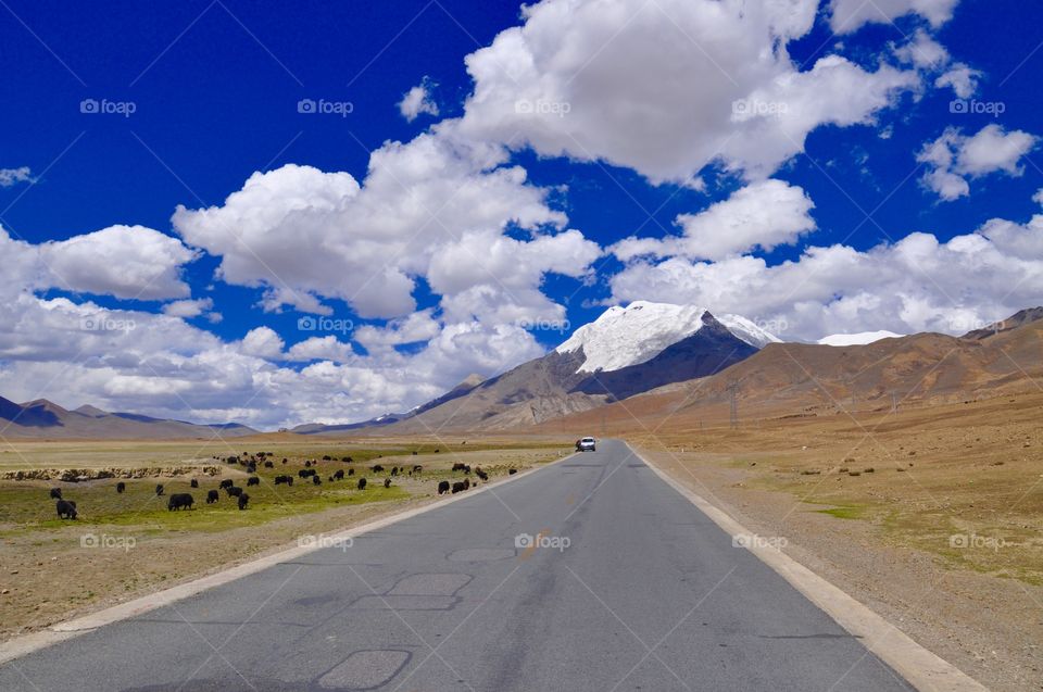 Road trip to Tibet 