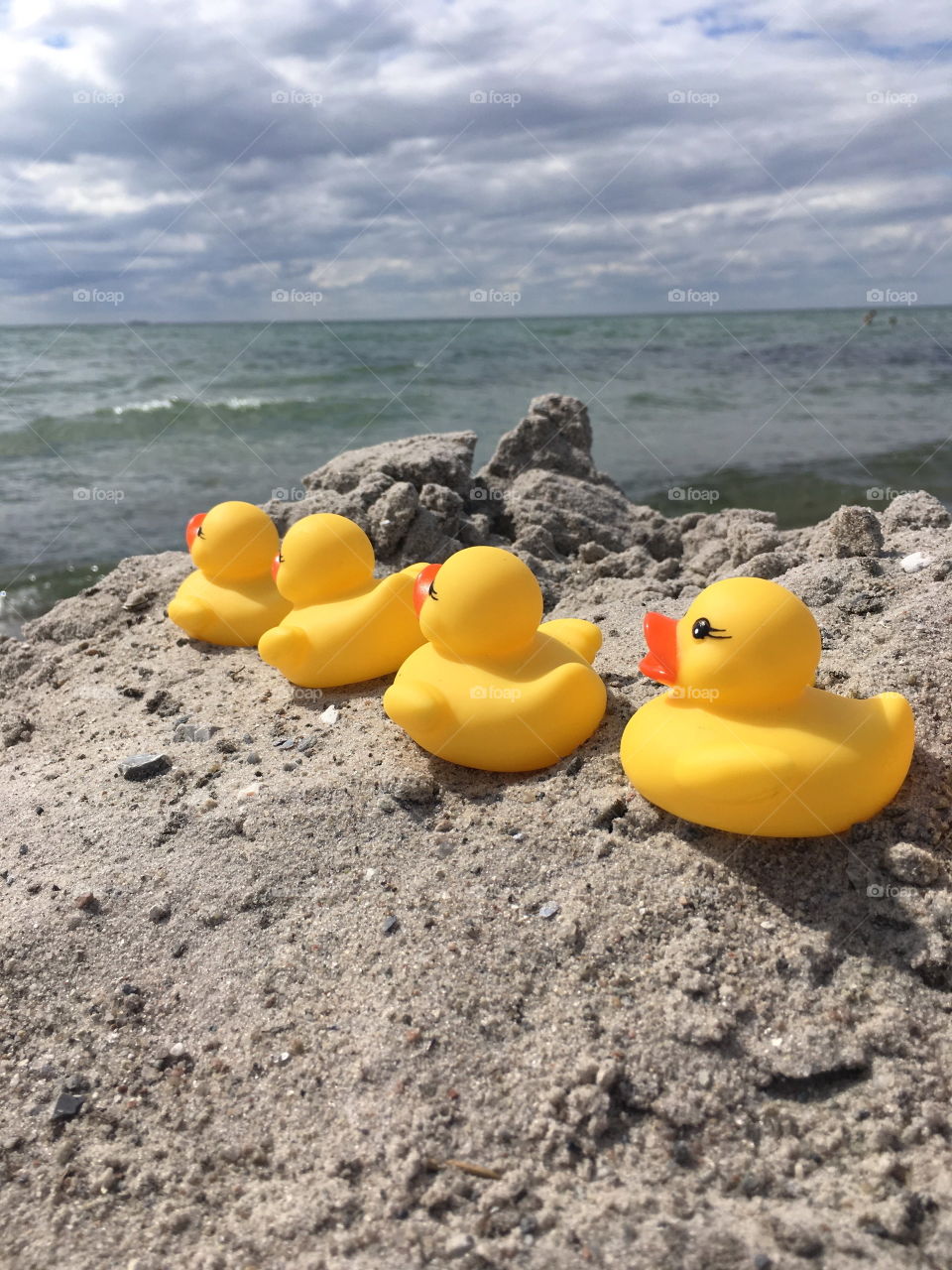 Rubber ducks going for a swim at the beach.