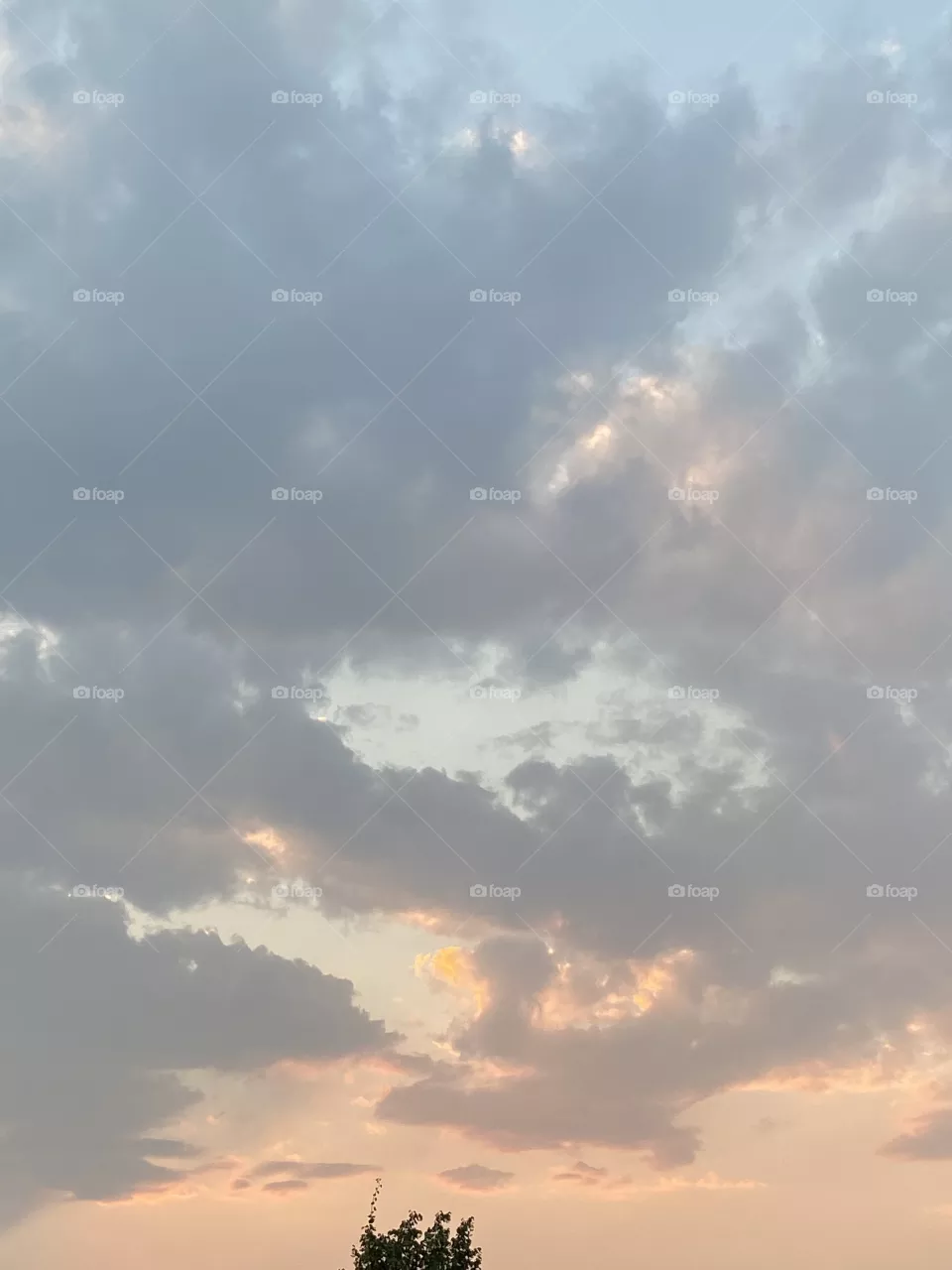 Cotton candy sky