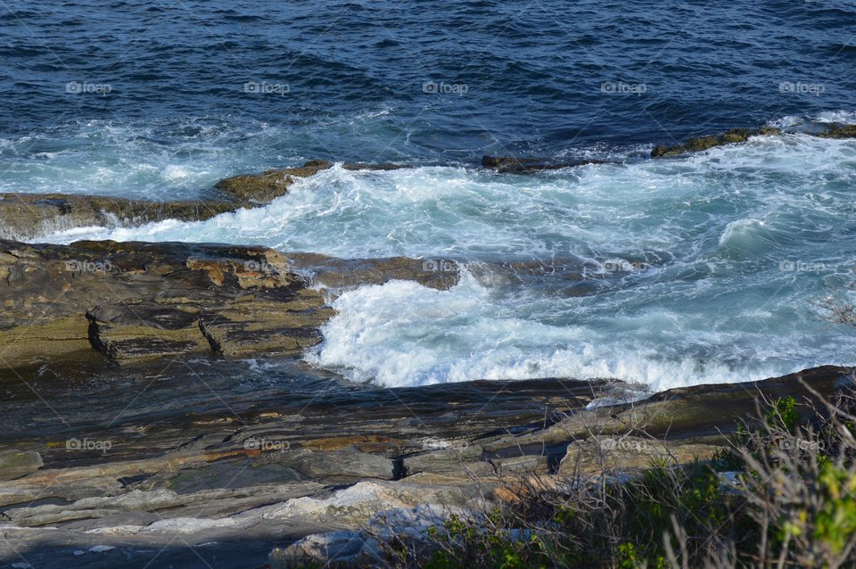 Maine's Majestic Coast