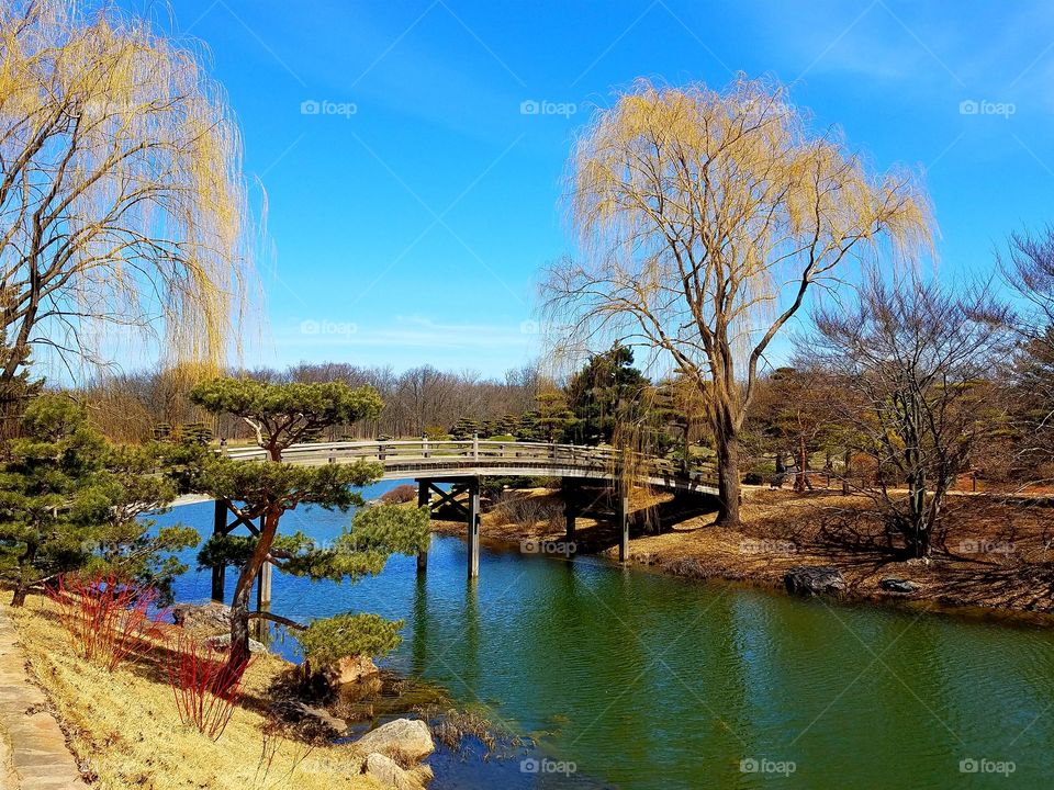 Chicago botanic gardening