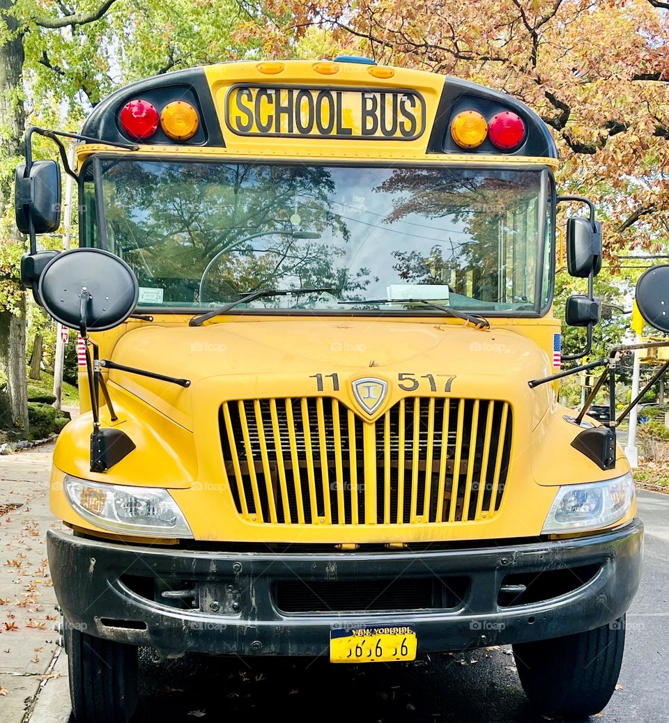 The school bus-the iconic yellow vehicle that transports the nation,s kids back and forth to school daily. 