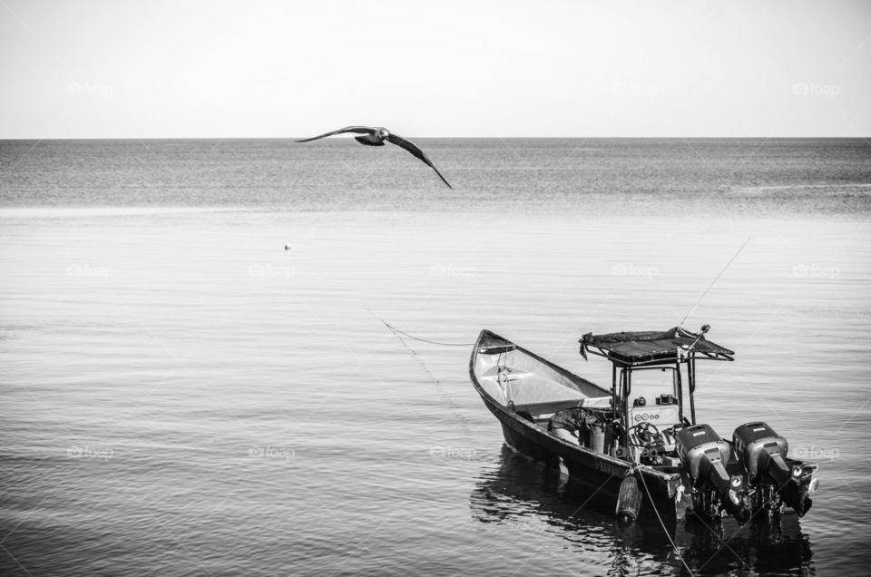 Black and white photo of fishing boat on a Caribbean beach with a flying seagull