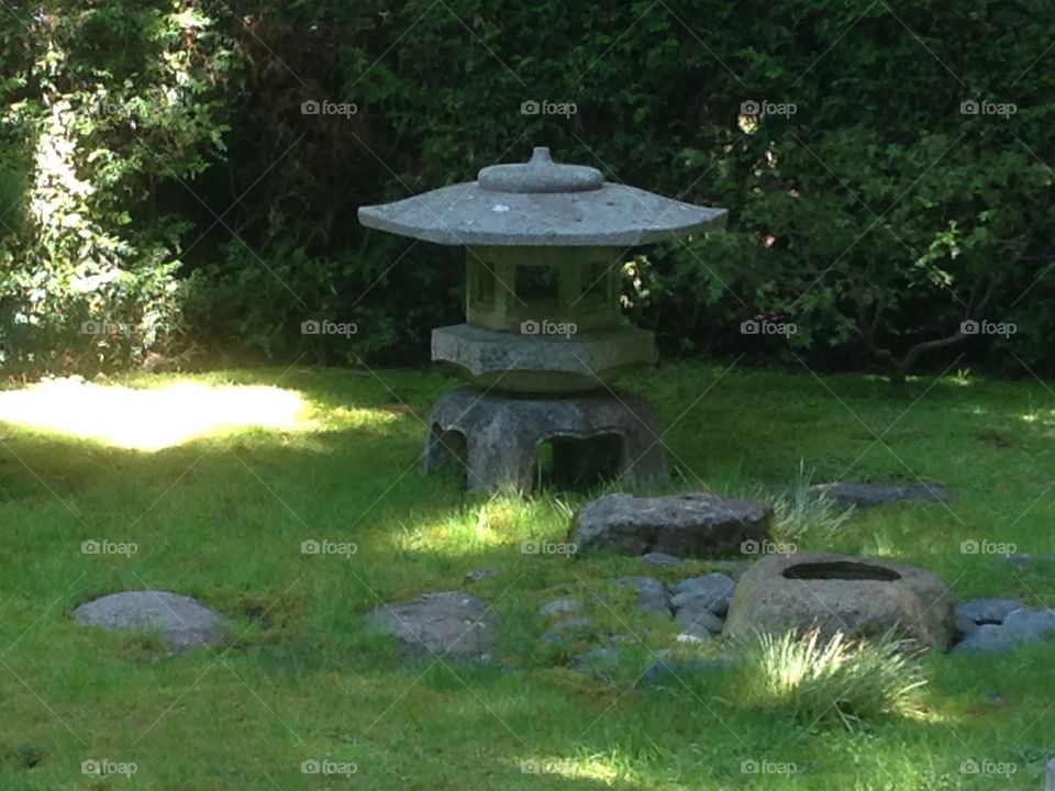 Elegant scenery at the Japanese Tea Garden.