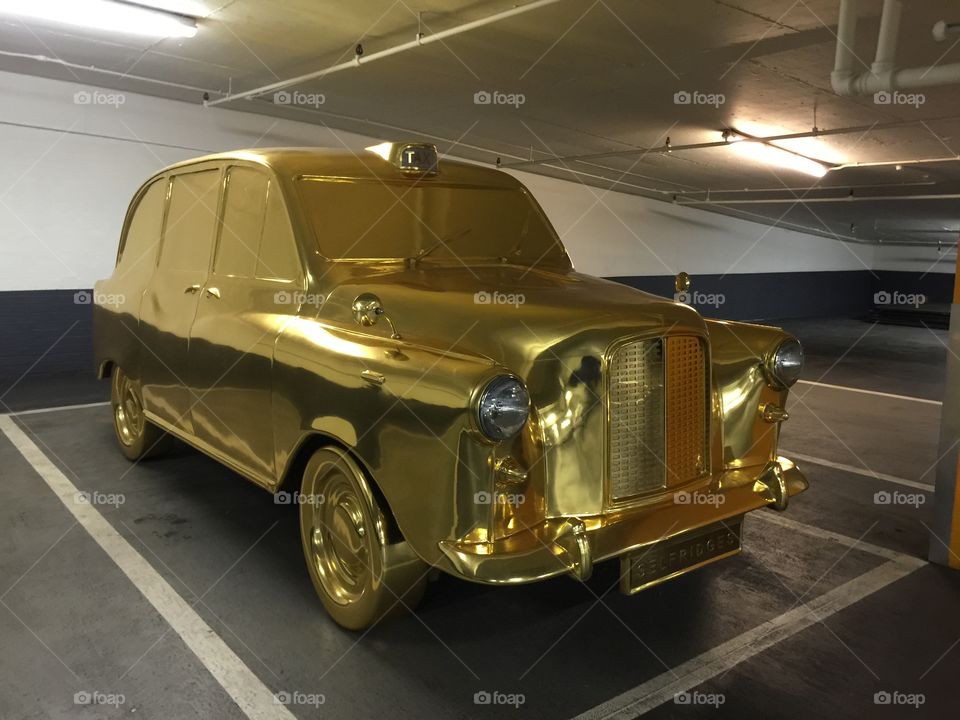 Golden Taci. I made photo of this beauty in one garage.