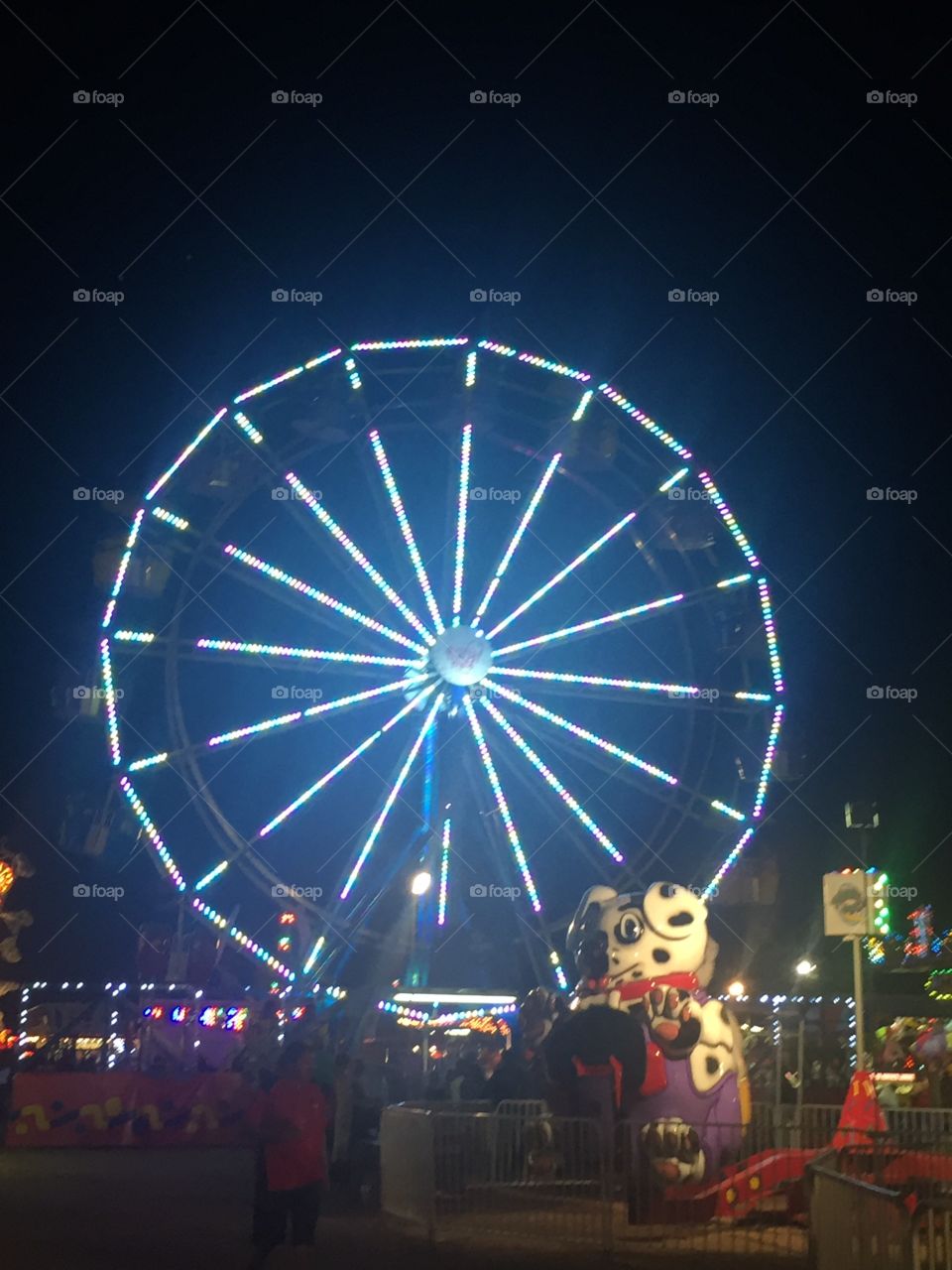 A night at the county fair
