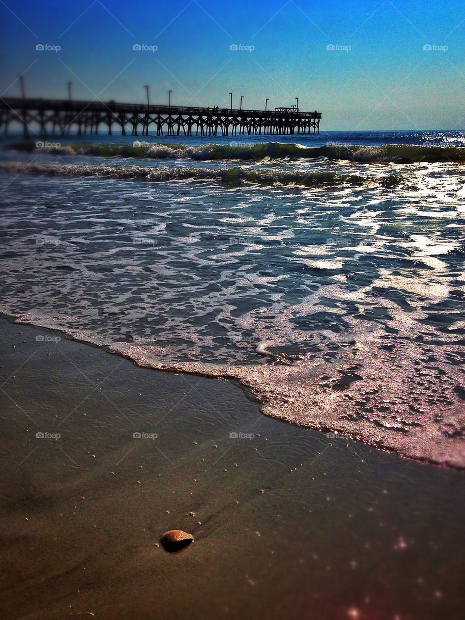 Rest and Relaxation at the Beach