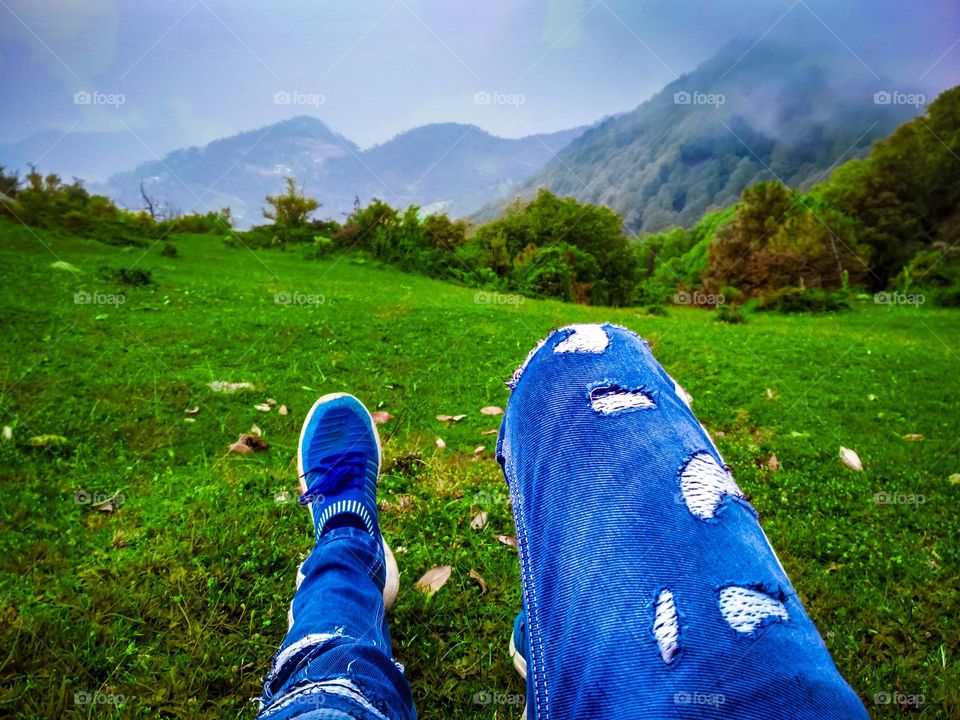 beautiful nature view