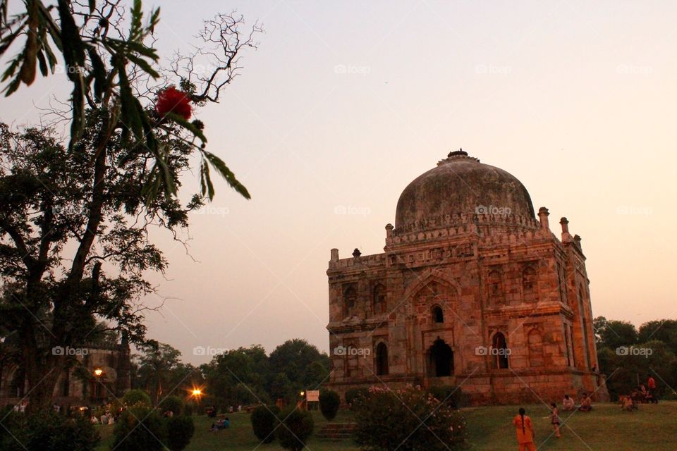 Lodhi Garden #27