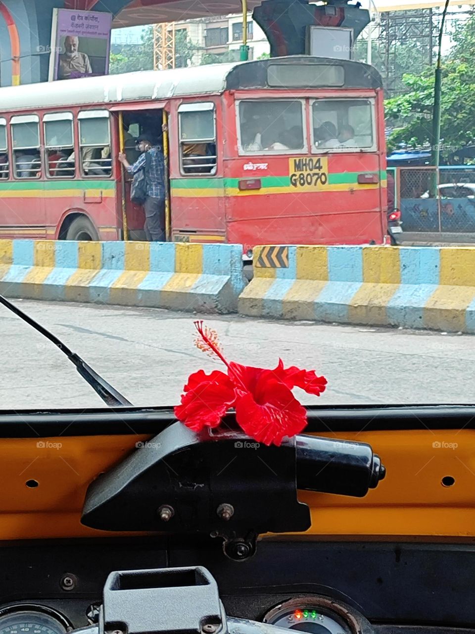 The hibiscus flower, vibrant and striking, boasts large petals is red. Its beauty graces gardens worldwide, with a distinct trumpet-like shape and prominent stamen. Known for its tropical allure, it symbolizes delicate beauty.