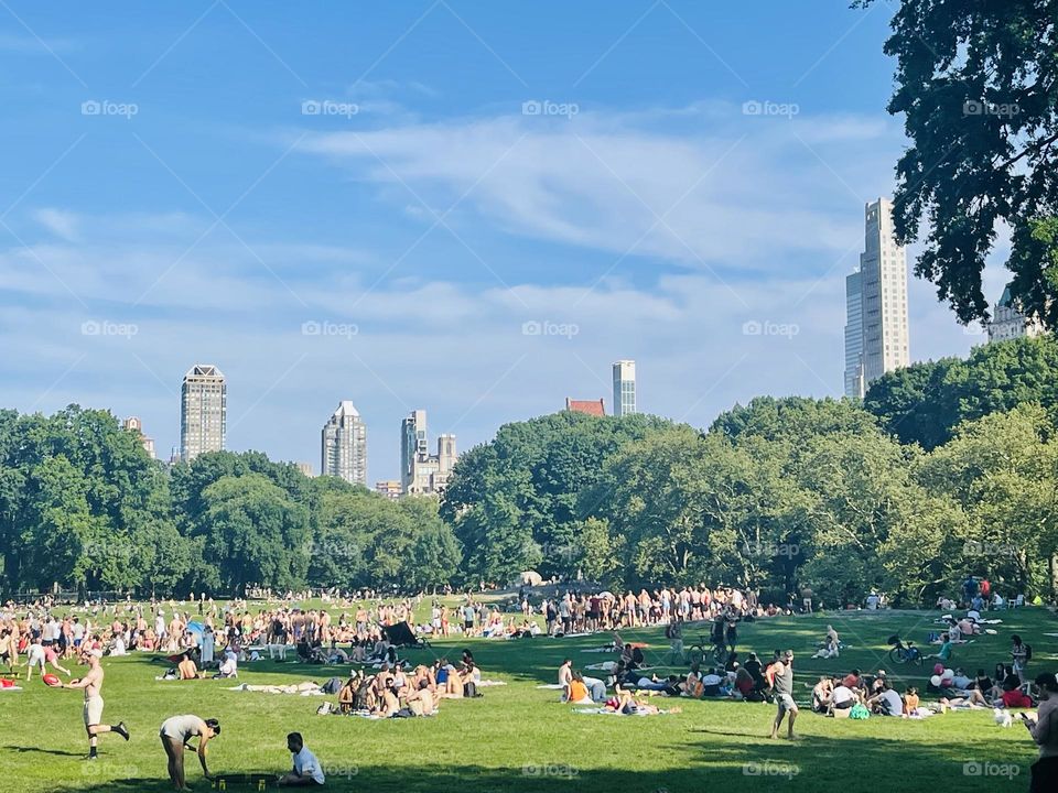 Chilling in Sheep Meadow Central Park in New York City on a sultry, sunny summer day. 