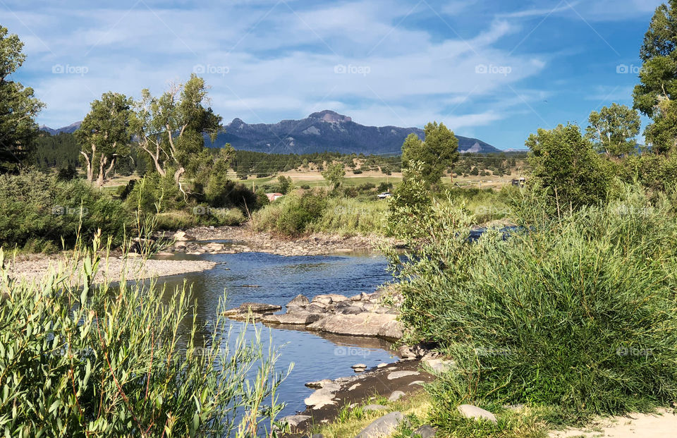 Meandering creek with mountain background 