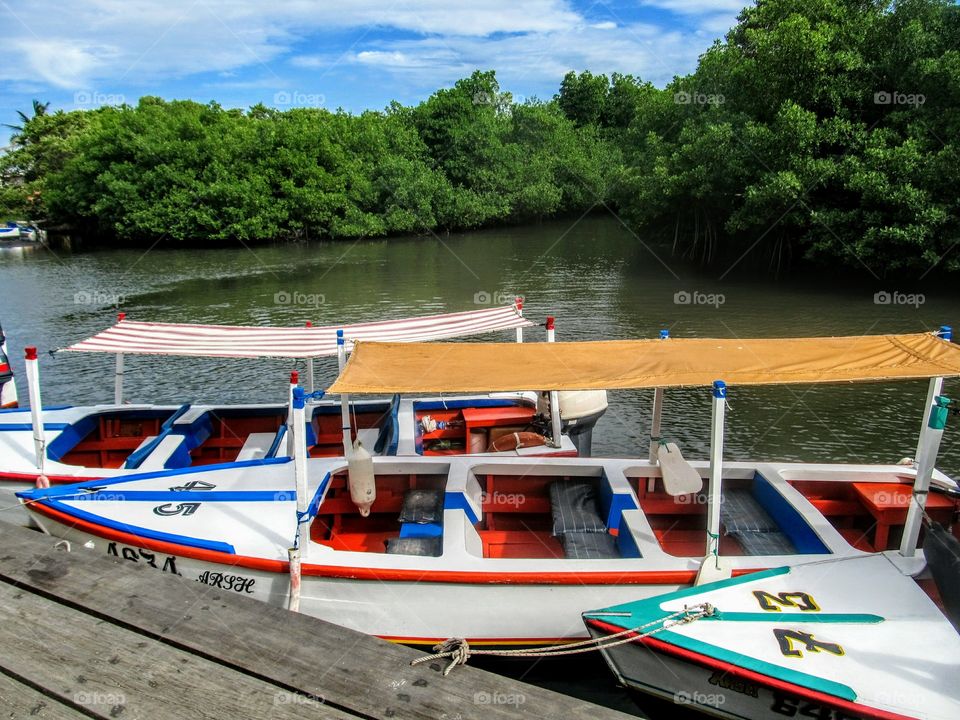 colorful boat in national park