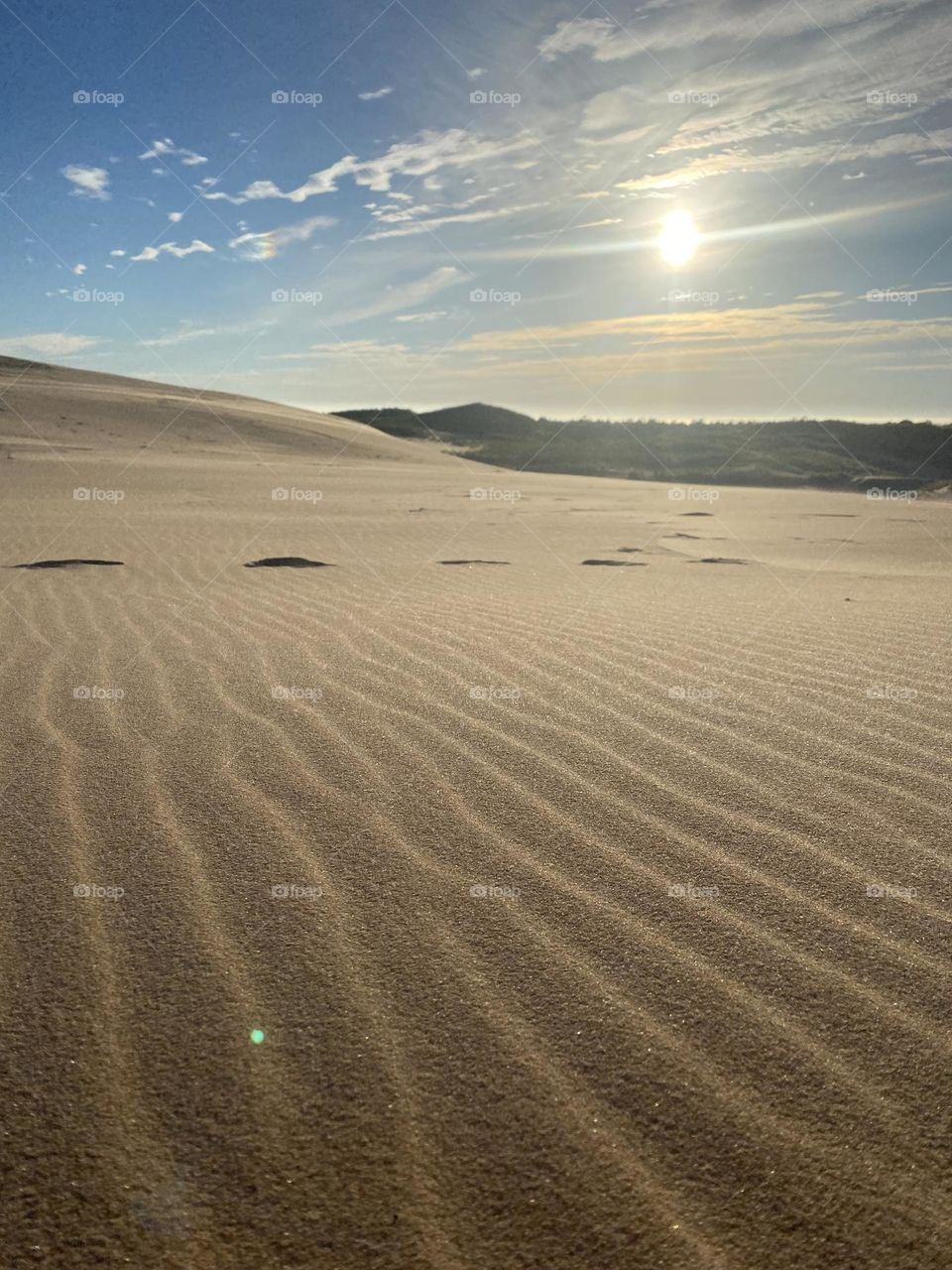 The image shows a close-up view of sand with a pattern of evenly spaced, wavy lines. These lines are likely formed by wind, creating ripples in the sand. The texture is smooth, and the lighting highlights, giving depth to the patterns.