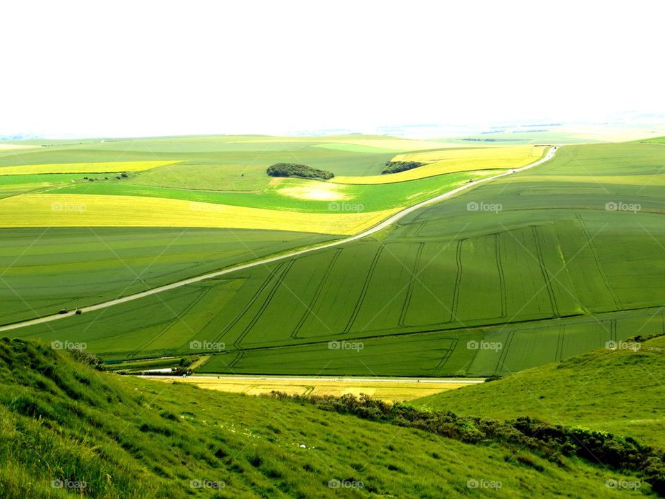 Green landscape