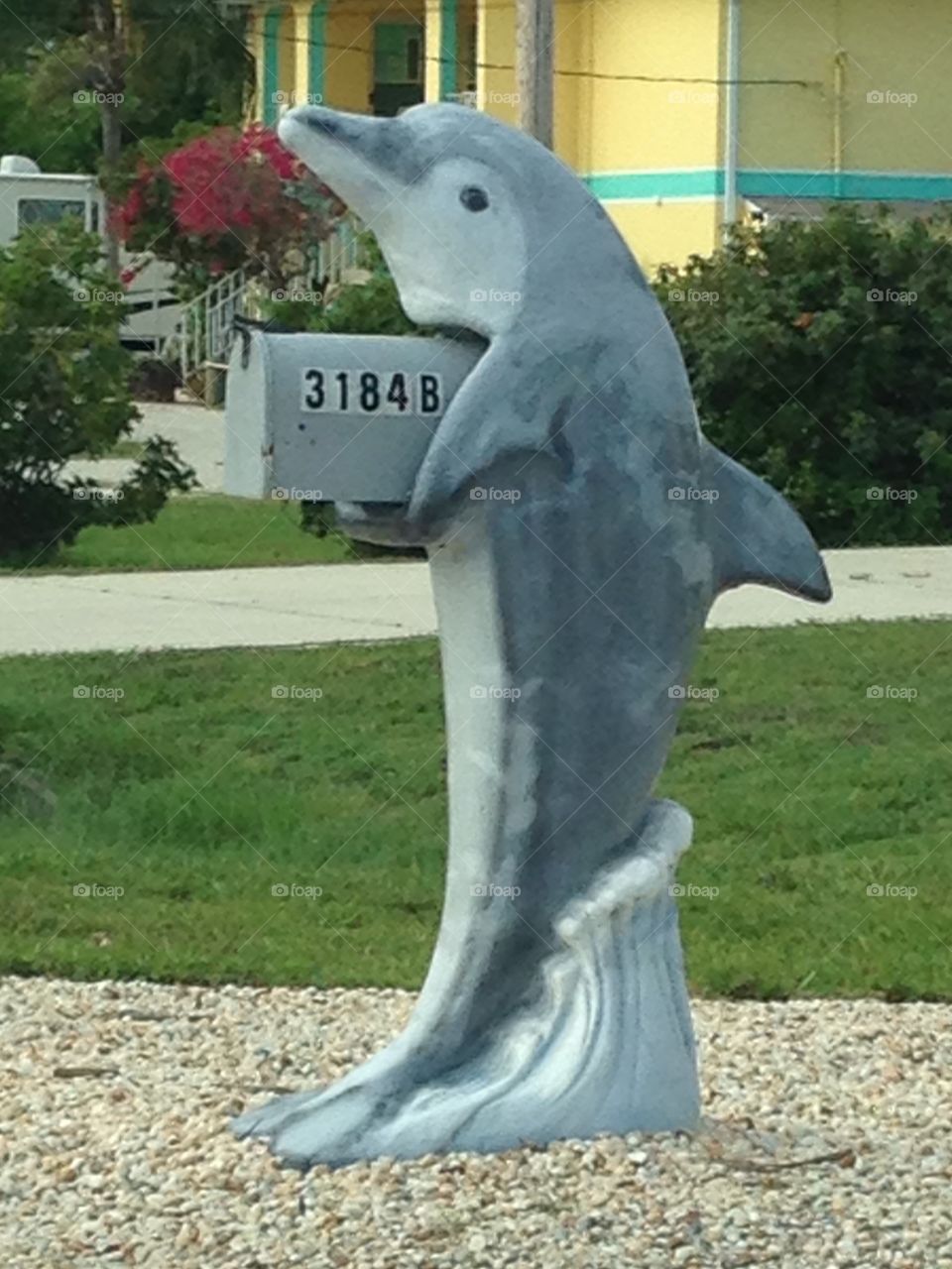 Dolphin wave mailbox