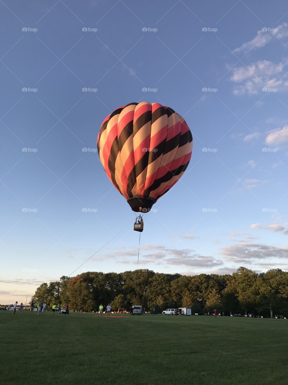 Pink and black balloon in air